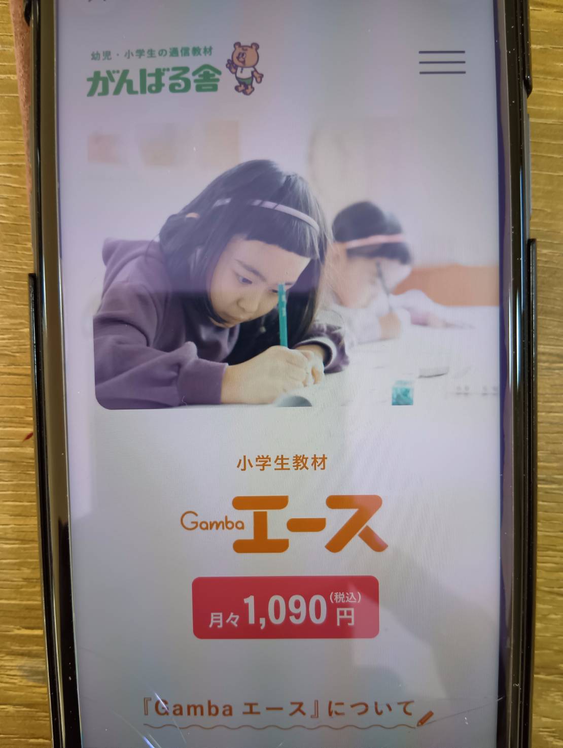がんばる舎「Gambaエース」は月額1,000円台！業界最安クラスのプリント教材