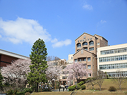 みんなの大学情報　東京純心大学