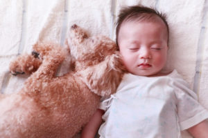 犬と寝る赤ちゃん