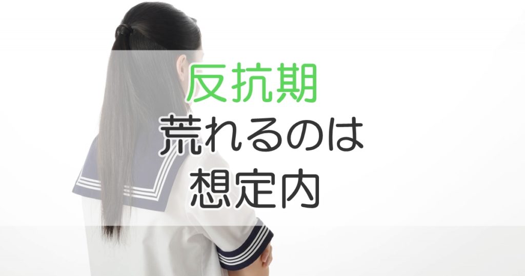 反抗期への対応 中学生が荒れるのは想定内と考える 札幌市 学習塾 受験 チーム個別指導塾 大成会