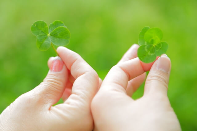 共学・男女別学はどちらが良い?それぞれの違いと考え方 |札幌市 学習塾 受験|チーム個別指導塾・大成会